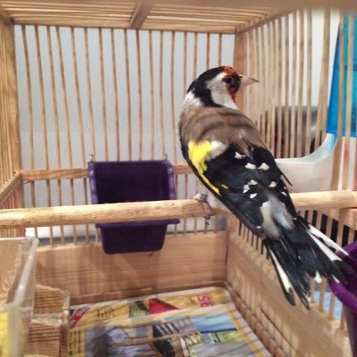 HayetMehadji's profile picture. 