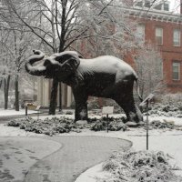 Tufts BUGS (@tuftsbugs) 's Twitter Profile
