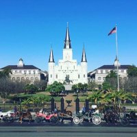 New Orleans (@nola) 's Twitter Profile