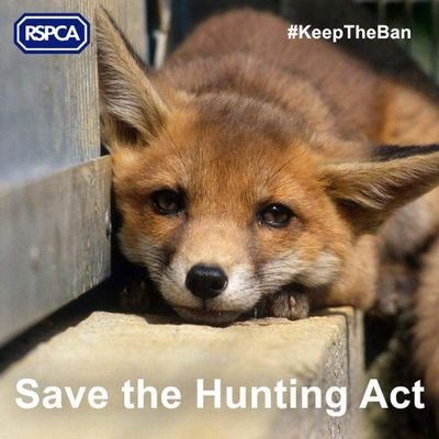 Animal Lover / Hater of Animal Cruelty
A VOICE for Animals#End the dog meat trade#Save the dolphins#Ban canned hunting# adopt Animals don't shop