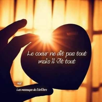 overney_gaelle's profile picture. Insta: horses._.and._.me