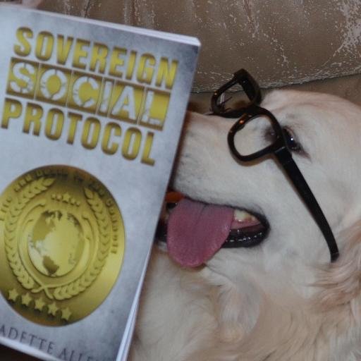 AuthorAllenB's profile picture. Ya Books, Ebooks, YA Lit, Author