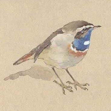 EricEnnion's profile picture. Celebrating the life (1900-81) and work of a great wildlife artist & naturalist. In 1964, Robert Gillmor and Eric founded the Society of Wildlife Artists (SWLA)