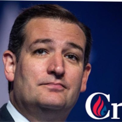 #CruzCrew God. USA. Constitutional Conservative. Freedom. Liberty. Mark Levin. Golf bum, 3 handicapper. No #fake Conservatives.