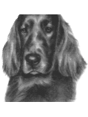 Ben Queen Red - @BenQueenRed - Twitter