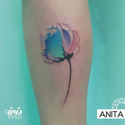 agustinaleona09's profile picture. 