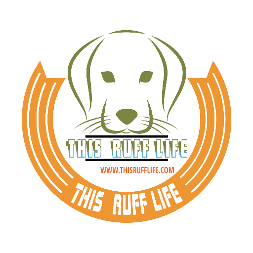 Super awesome blogger/rescue dog pair looking to do good in this crazy world of ours.