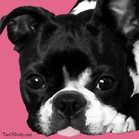 Tao of Dolly (@taoofdolly) 's Twitter Profile