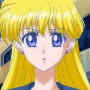 I'm one of the five Sailor Guardians know as Sailor Venus. In the name of love, I'll punish you! #SailorMoonRP