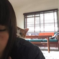 山本祥子 (@sacicoyamamoto) 's Twitter Profile Photo 山本祥子 (@sacicoyamamoto) 's Twitter Profile Photo