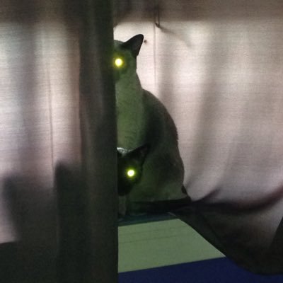 beth_rowlands's profile picture. 