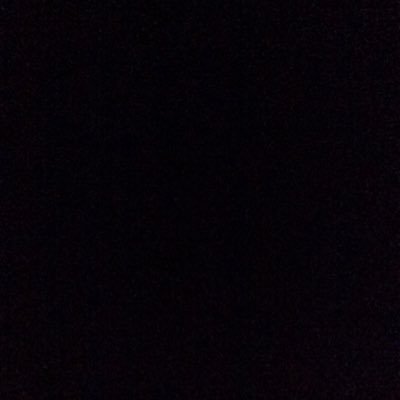 dylsteezy's profile picture. 