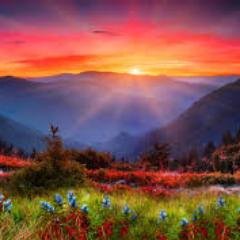 Enjoy cinema, int'l travel, current events, creatives, coffee. A USMC combat vet, #PTSD and supporter 100%. Author, The Farm https://t.co/07s6CL5xGr