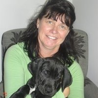 Di Jones (@dijoneswrites) 's Twitter Profile