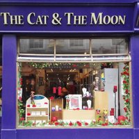 The Cat and the Moon(@CatandtheMoon) 's Twitter Profile Photo