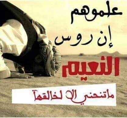 abdalkarm77's profile picture. 