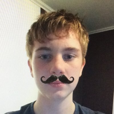 Simlock_Falls's profile picture. 