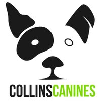 Collins Canines(@CollinsCanines) 's Twitter Profile Photo