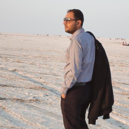 I am a SEO ( Digital Marketing Consultant - Google SEO ) and I provide Consulting Services for Google Panda & Penguin Penalty Recovery.