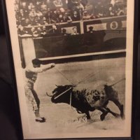 Toros del Horno (@torosdelhorno) 's Twitter Profile