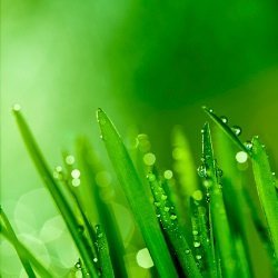 om_salah52's profile picture. 