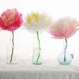 Fridayfun123's profile picture. Friday Clothes company is a wonderful place for you to explore