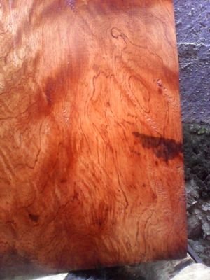 Exotic Figured Wood