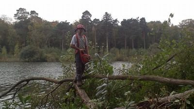 Forestry contractor