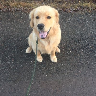 tylercassidy_8's profile picture. I say weird things to get reactions