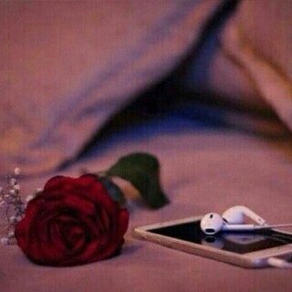 hamad537371's profile picture. 