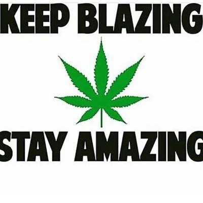 confussedstoner's profile picture. Hello my names sunny ☀️