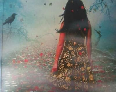 coisasDaVida_14's profile picture. 