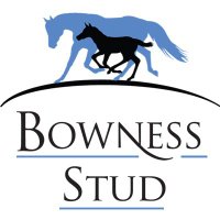Bowness Stud & Watershed Farm(@BownessStud) 's Twitter Profile Photo