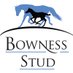 Bowness Stud & Watershed Farm (@BownessStud) Twitter profile photo