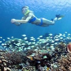 kami siap melayani anda yang mau jalan jalan di BALI ( Email : dasubalitour@gmail.com Alamat : Jln.Gelogor carik ratnasari 1 no 9x