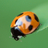 cynicalbug's profile image