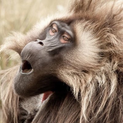 Genych16's profile picture. 