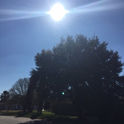 davidmalagon's profile picture. System Engineer | Co-fundador MCP