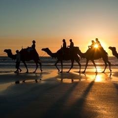 One of the extraordinary things about ISRAEL is that there is so much history
just waiting to be discovered. Have FUN exploring ISRAEL with these Lovely Photos