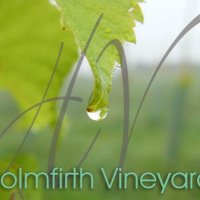 Holmfirth Vineyard (@holmfirthwines) 's Twitter Profile