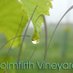 Holmfirth Vineyard Profile Image