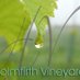 Holmfirth Vineyard (@Holmfirthwines) Twitter profile photo