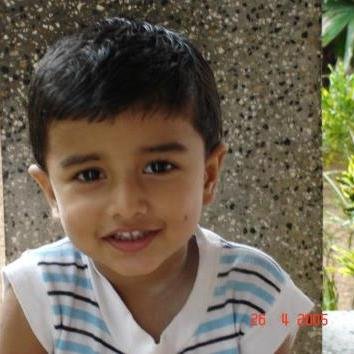 shibusonisss's profile picture. 