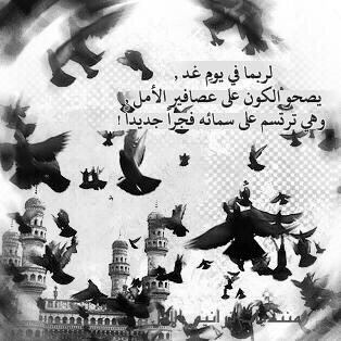 foooo5681's profile picture. استقبل فقط من القصيم ( قبائل ) ( خضاير )