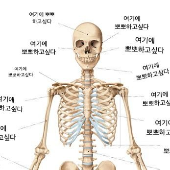 ((((언텔스포)))) 구탐さんのプロフィール画像