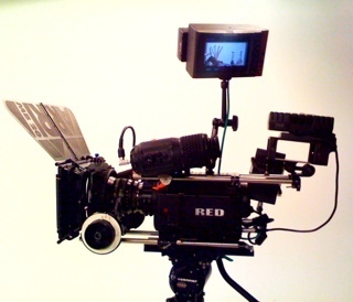 wlorton's profile picture. 