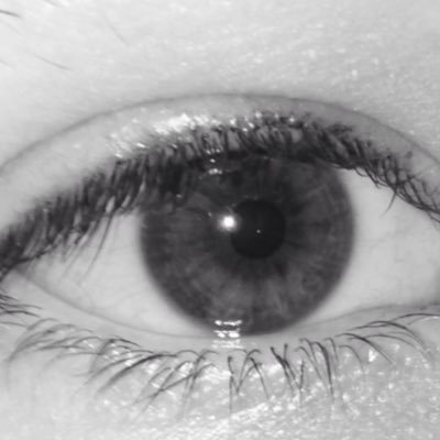 the_bholder's profile picture. 