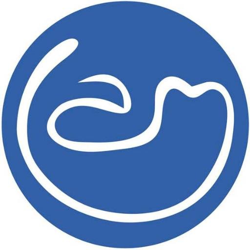 aula_maella's profile picture. cursos a distancia