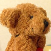 なな (@harappa05) 's Twitter Profile Photo
