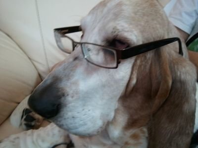 aly_ledman's profile picture. 